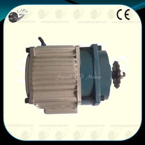 electric-tricyclemotorcycle-bldc-motors-with-gear-boxetm